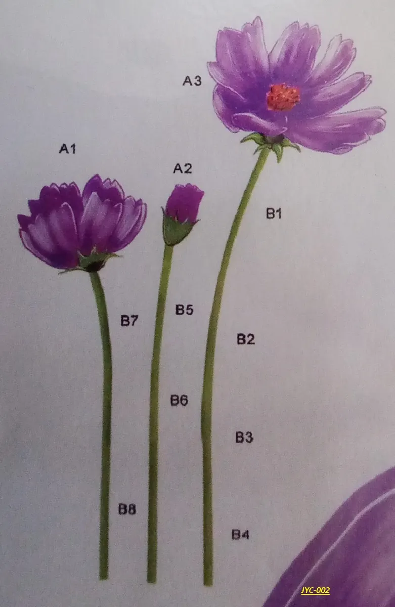 JYC Stıcker Büyük - Ivory 28-G 8