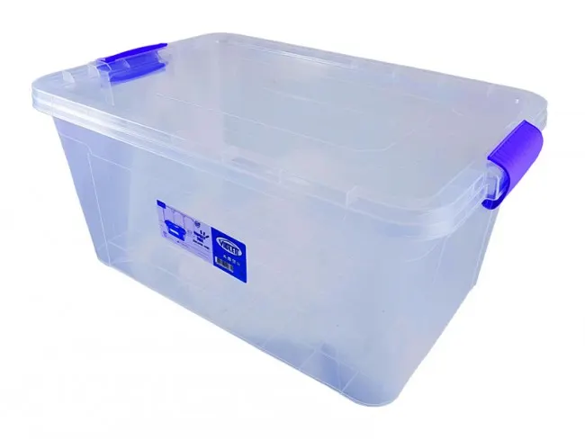 Violet Family BOX 24 LT 0973