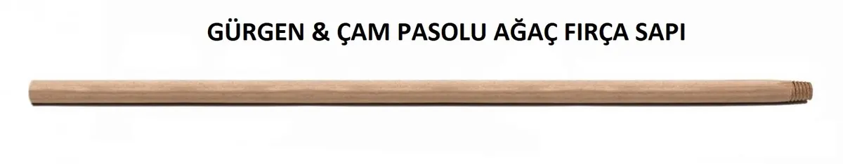 Gürgen & ÇAM Pasolu AĞAÇ Fırça SAPI
