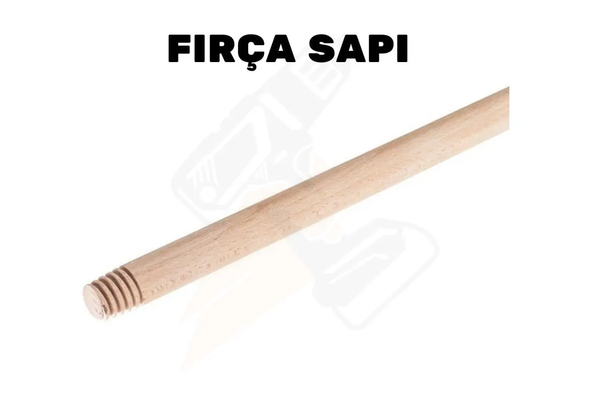 Gürgen & ÇAM Pasolu AĞAÇ Fırça SAPI 2