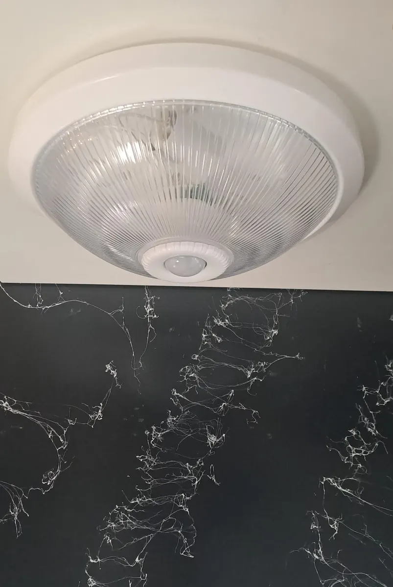 Lampist Plastik Camlı Tavan Sensörü 2XE27