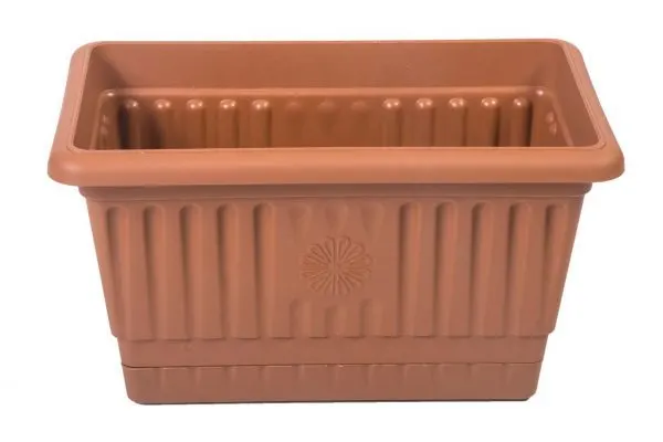HAK BALKON SAKSI KÜÇÜK 31 cm
