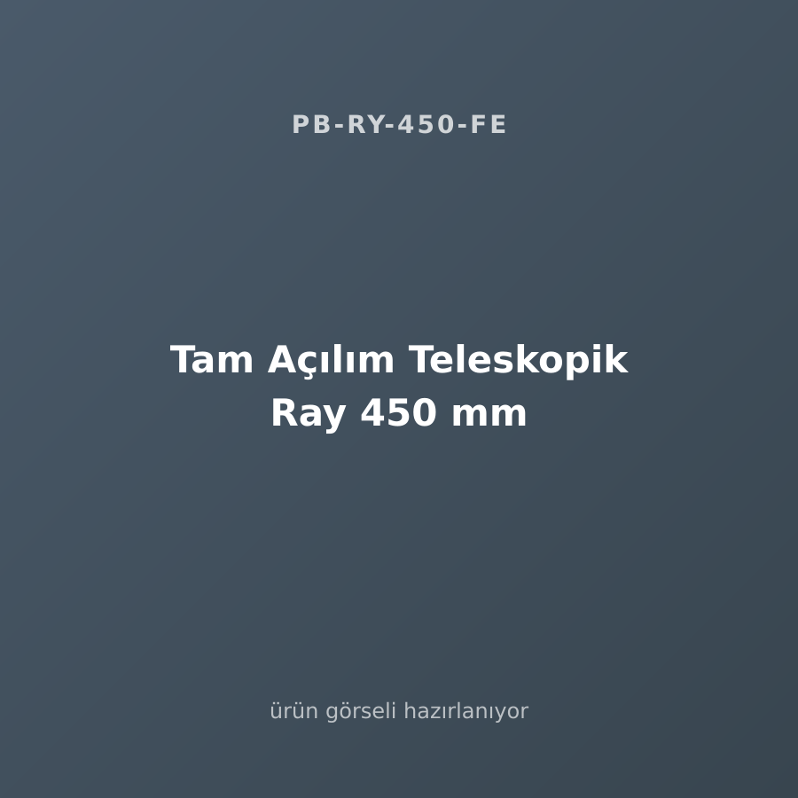 Tam Açılım Teleskopik Ray 450 mm
