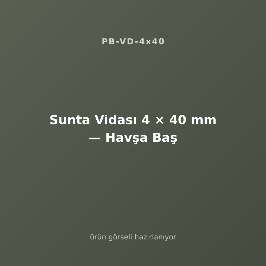 Sunta Vidası 4 × 40 mm — Havşa Baş